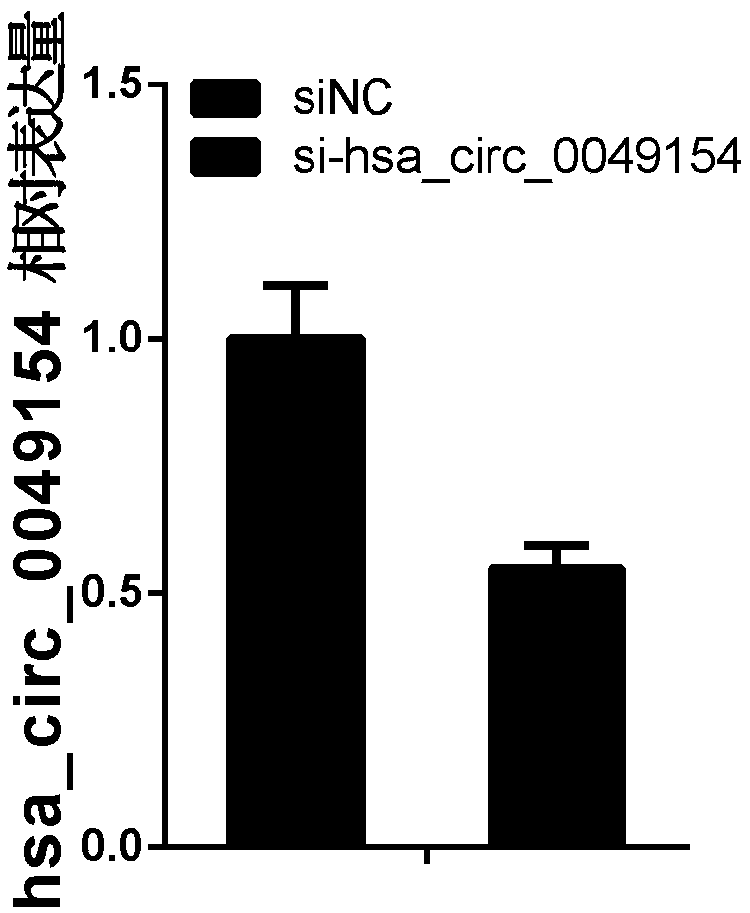 Application of hsa_circ_0049154 as prostatic cancer molecular target in preparation of drug and kit