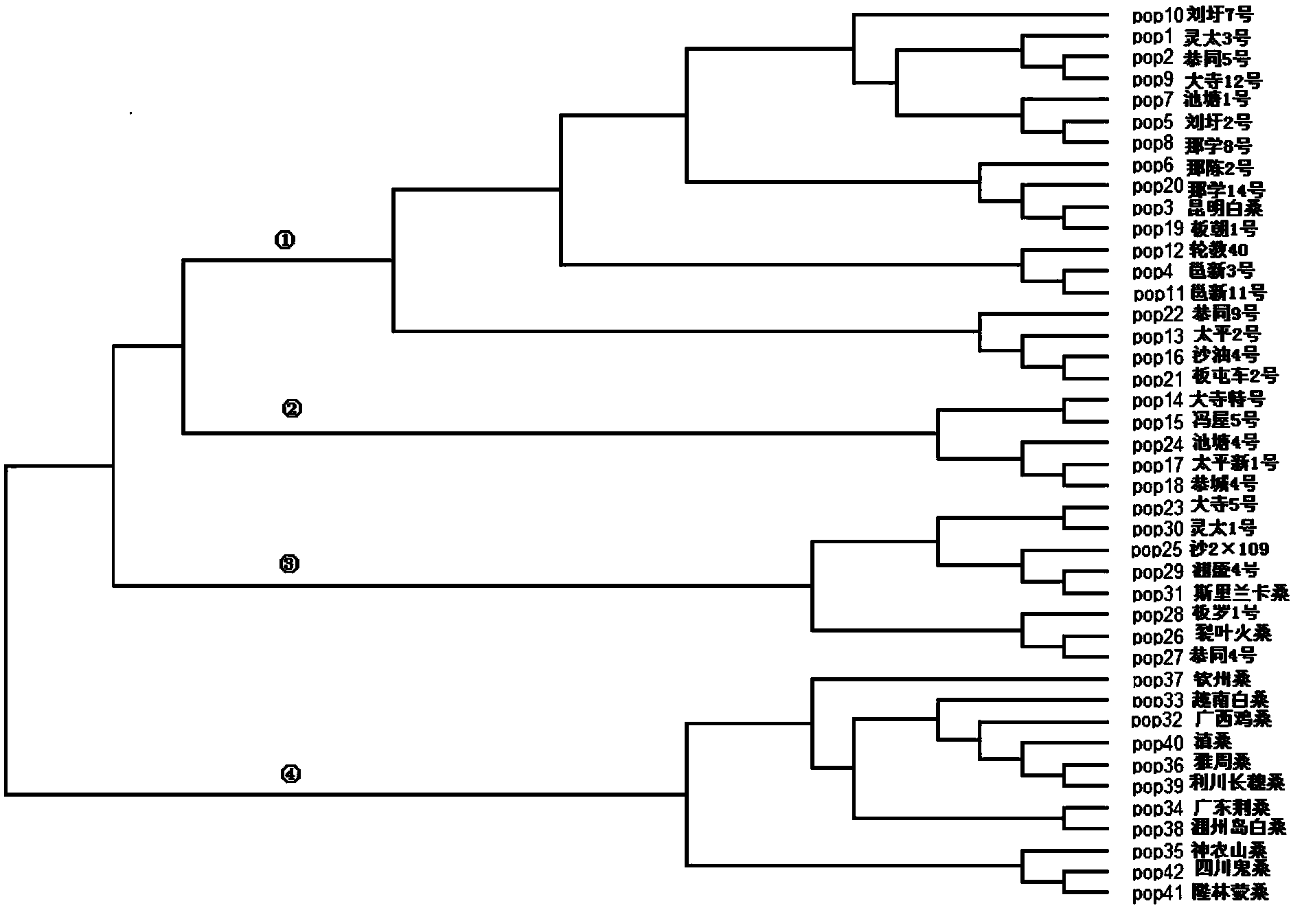 Method for evaluating genetic relationship DNA (deoxyribonucleic acid) molecules of mulberry variety