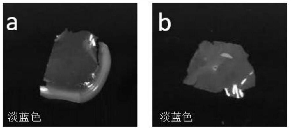 Structural color ink and preparation method thereof