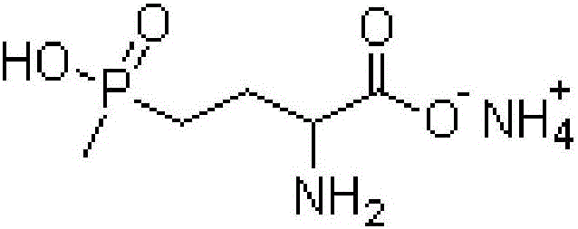 Weeding composition containing glufosinate-ammonium and fluoroglycofen-ethyl, and preparation method of composition