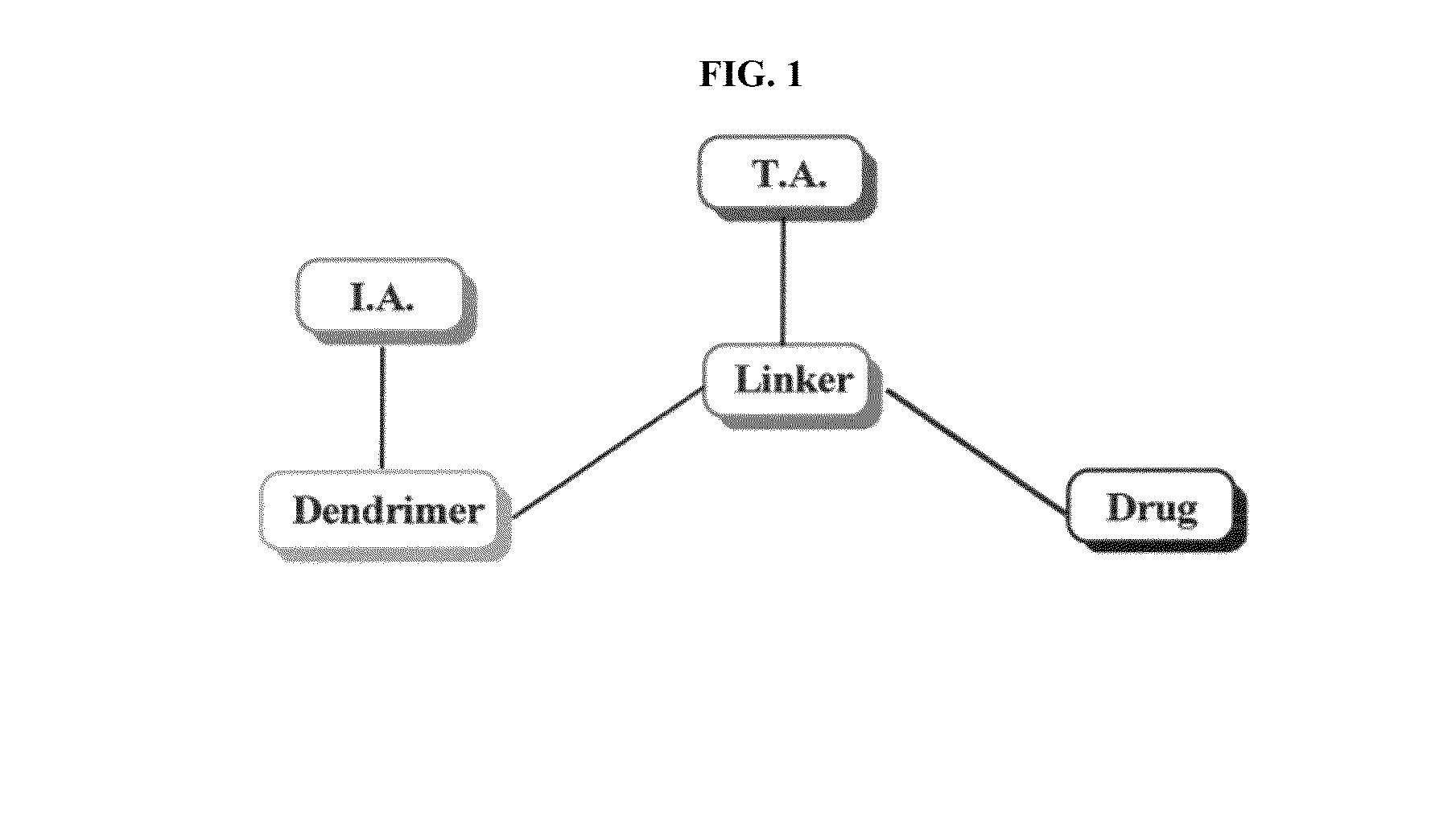 Dendrimer conjugates