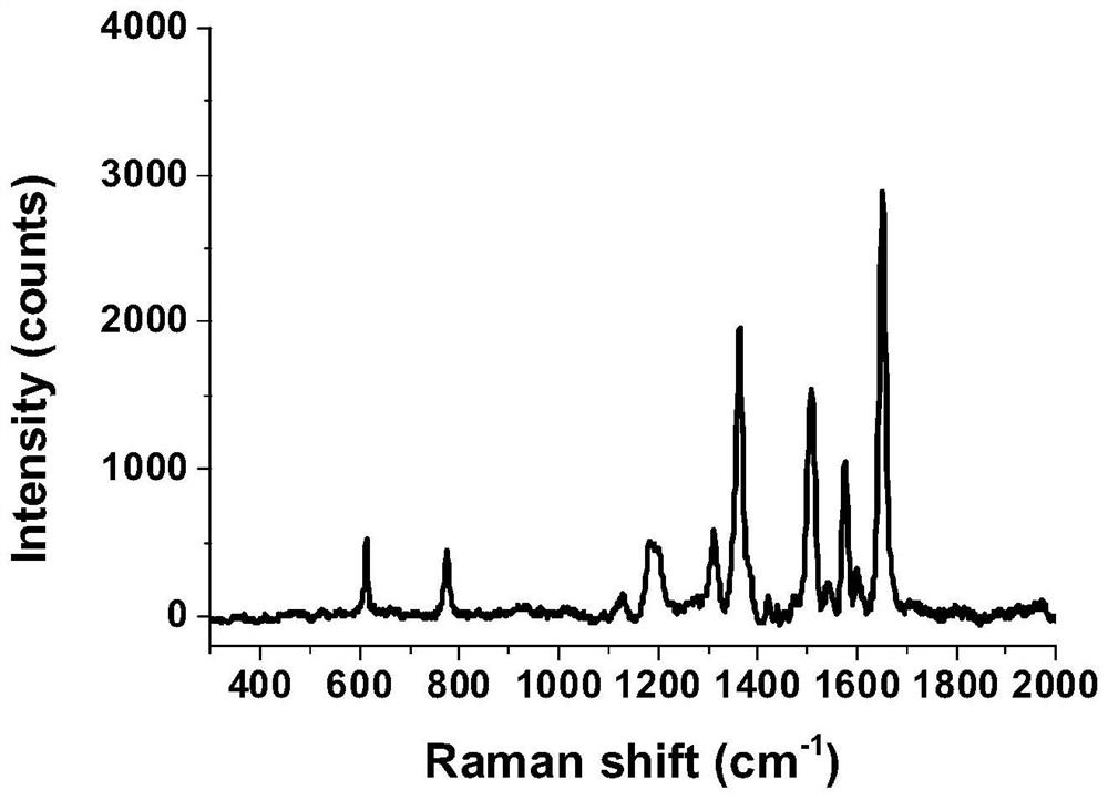 A surface-enhanced Raman substrate and its preparation method