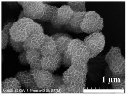 A kind of silver nanoparticle/titanium dioxide nanoflower composite material and its preparation method and application