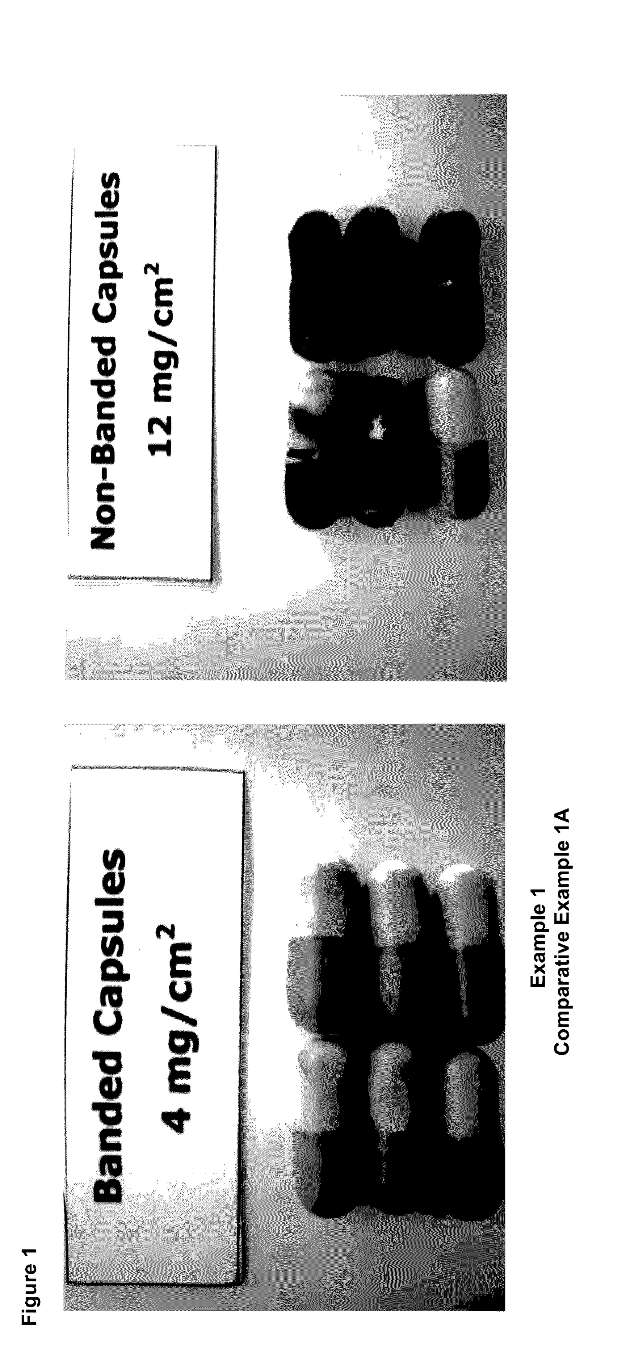 Modified release coated capsules