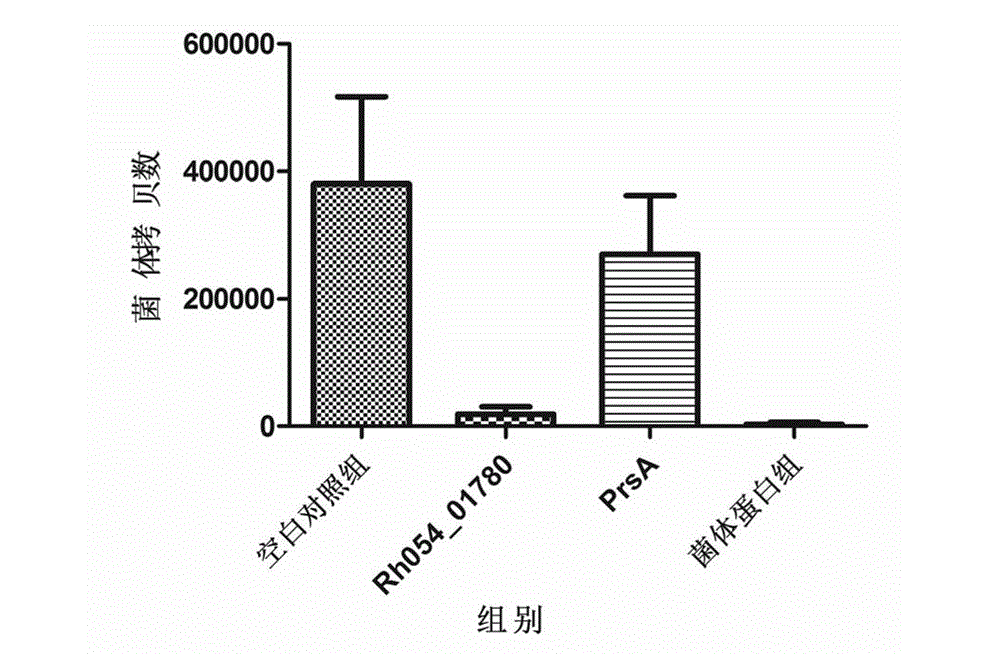 Application of protein Rh054_01780 to rickettsia heilongjiangensis-resistant immune protection