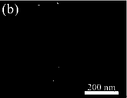 Preparation method of zinc-oxide nanorod array film