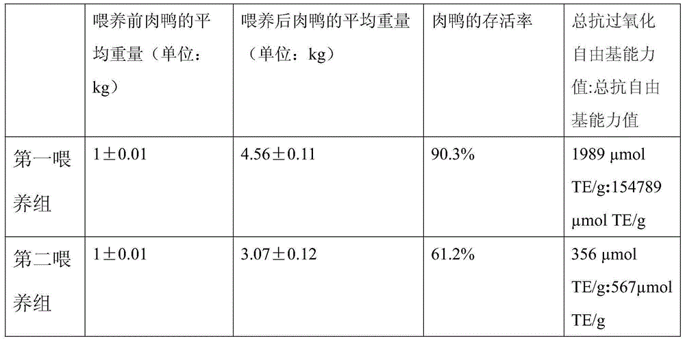 Meat duck feed with lactic acid bacteria and with function of eliminating free radicals and preparation method