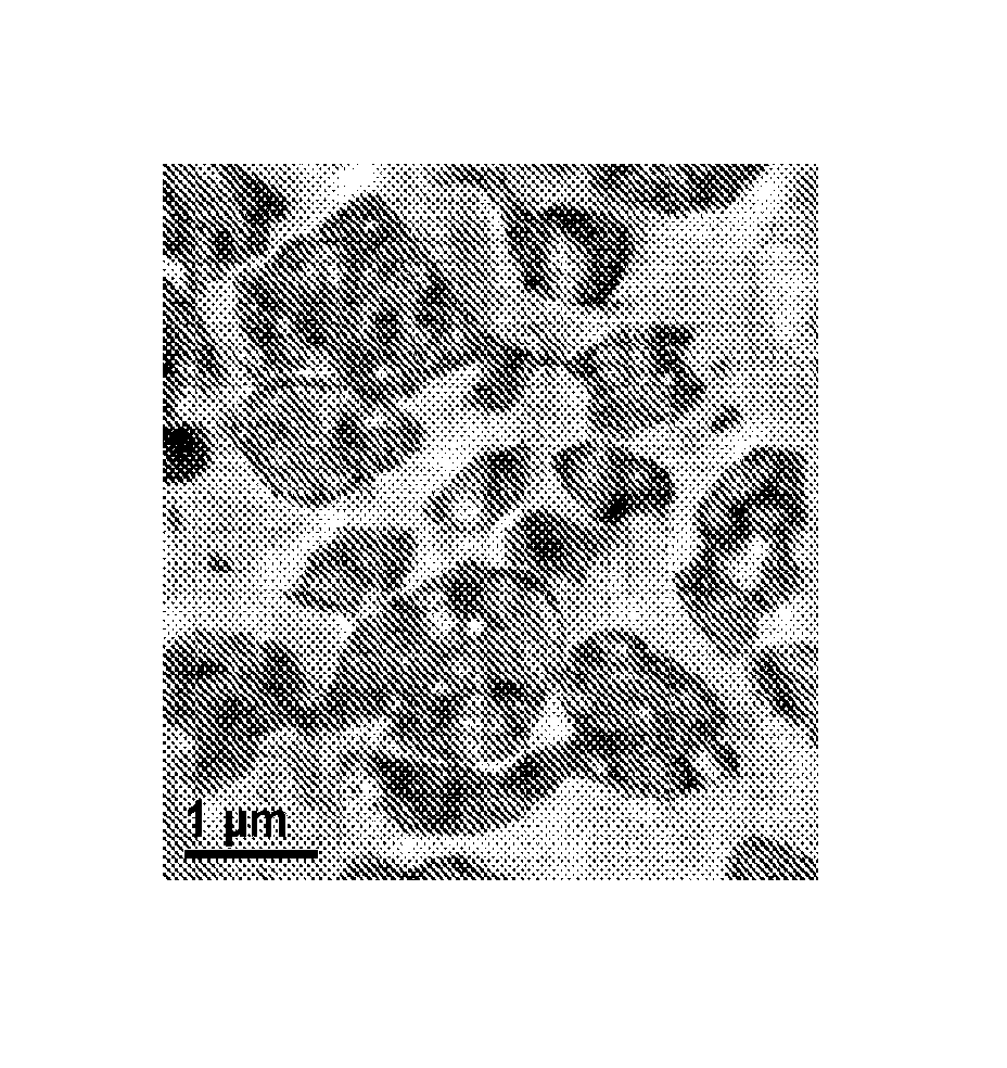 Fabricated articles comprising polyolefins