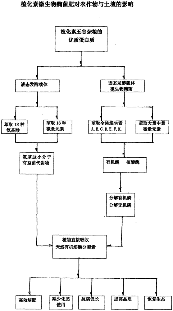 Phytochemical microbial aspergillus granular fertilizer