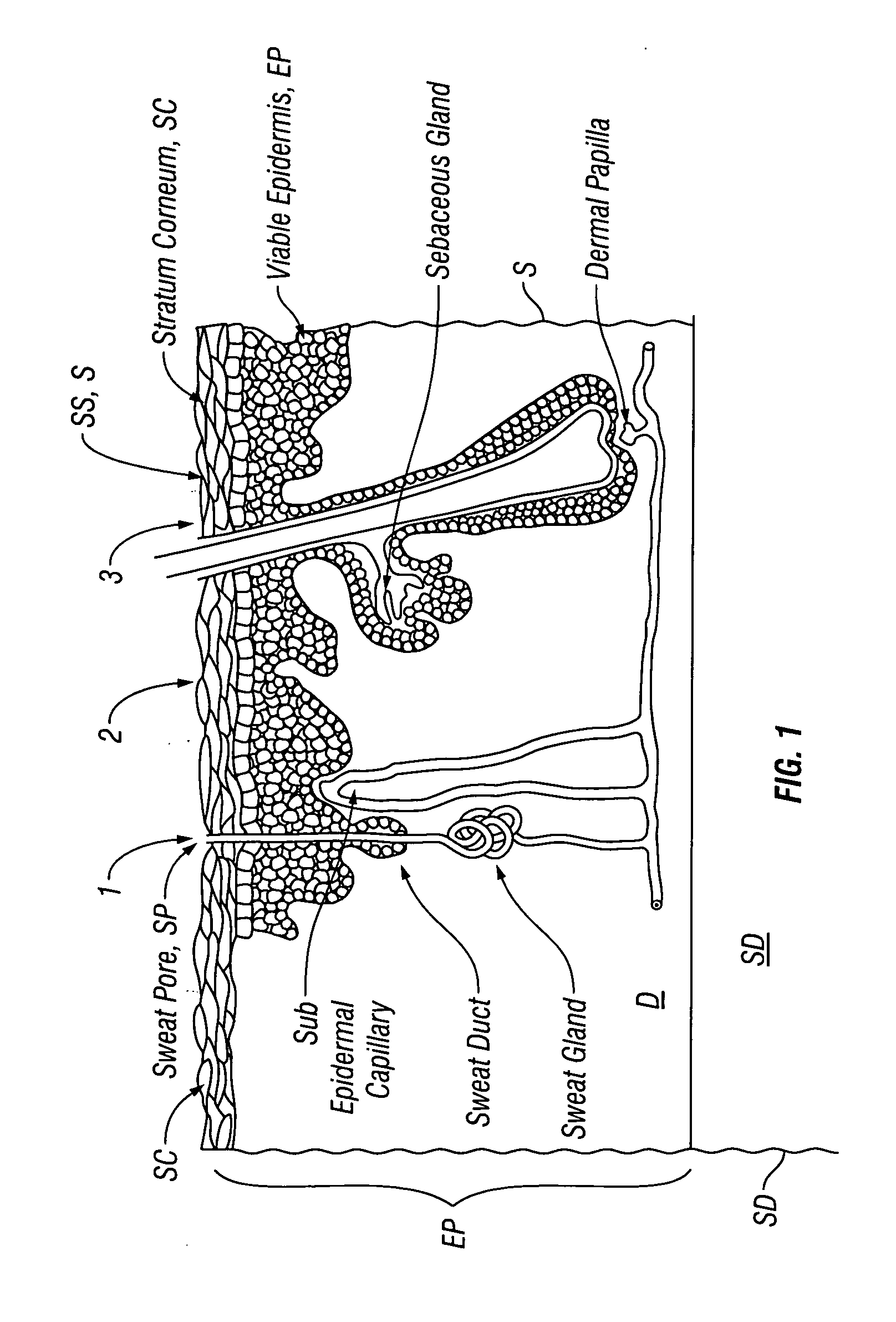 Method and apparatus for oscillatory iontophoretic transdermal delivery of a therapeutic agent