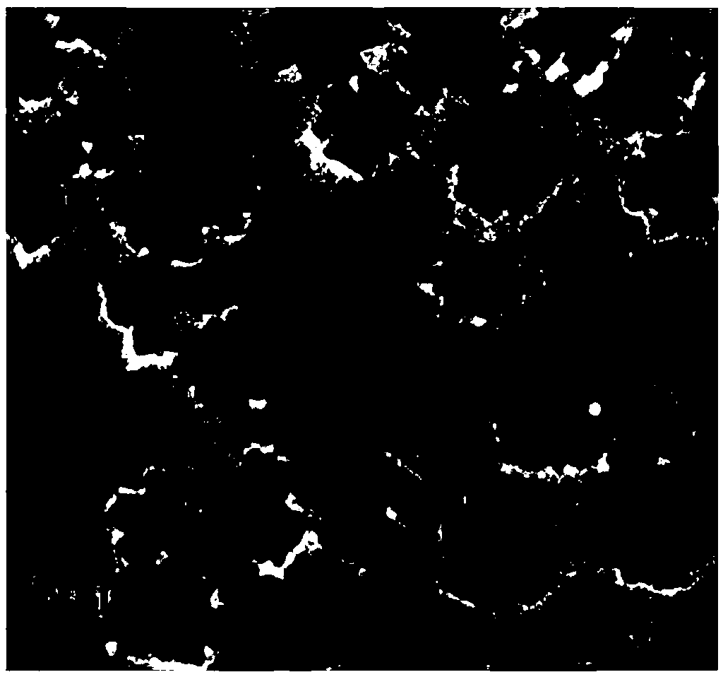 A kind of polygonal morphology ptcofe alloy nanoparticles and preparation method thereof