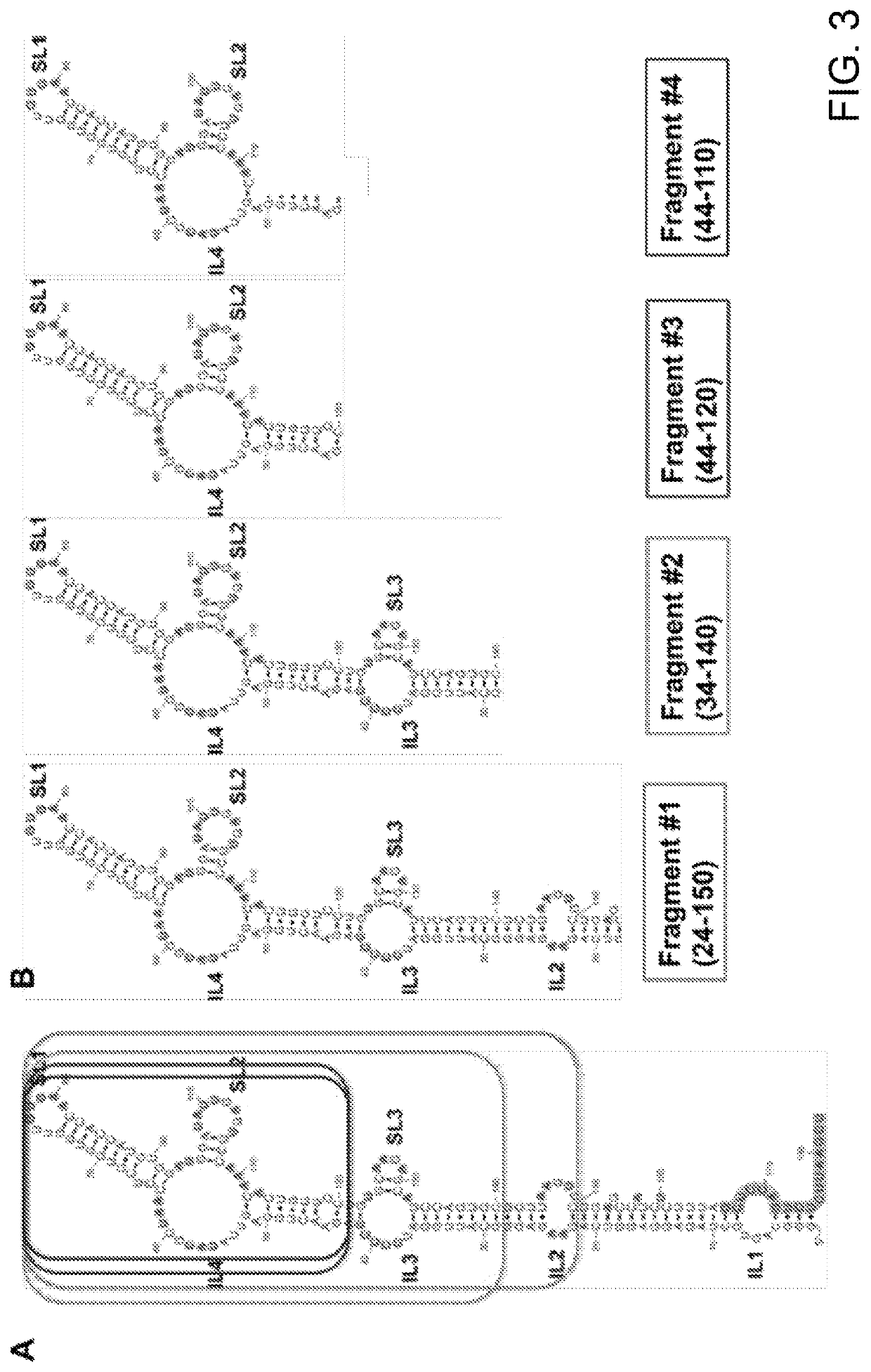 Structural domains of antisense RNA molecules up-regulating translation