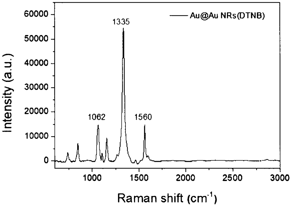 SERS (Surface Enhanced Raman Scattering) anti-counterfeit label based on ternary Raman report molecules