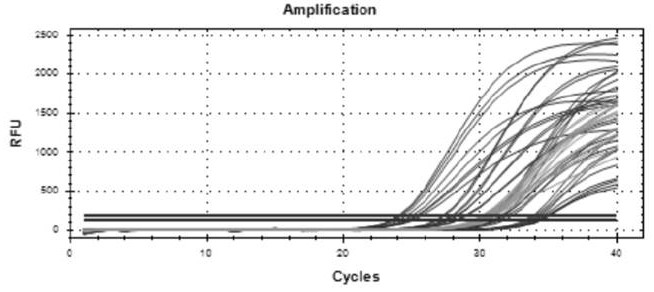 Virus nucleic acid extraction alcohol-free lysis buffer, kit and extraction method