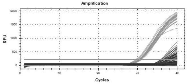 Virus nucleic acid extraction alcohol-free lysis buffer, kit and extraction method