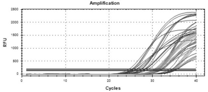 Virus nucleic acid extraction alcohol-free lysis buffer, kit and extraction method