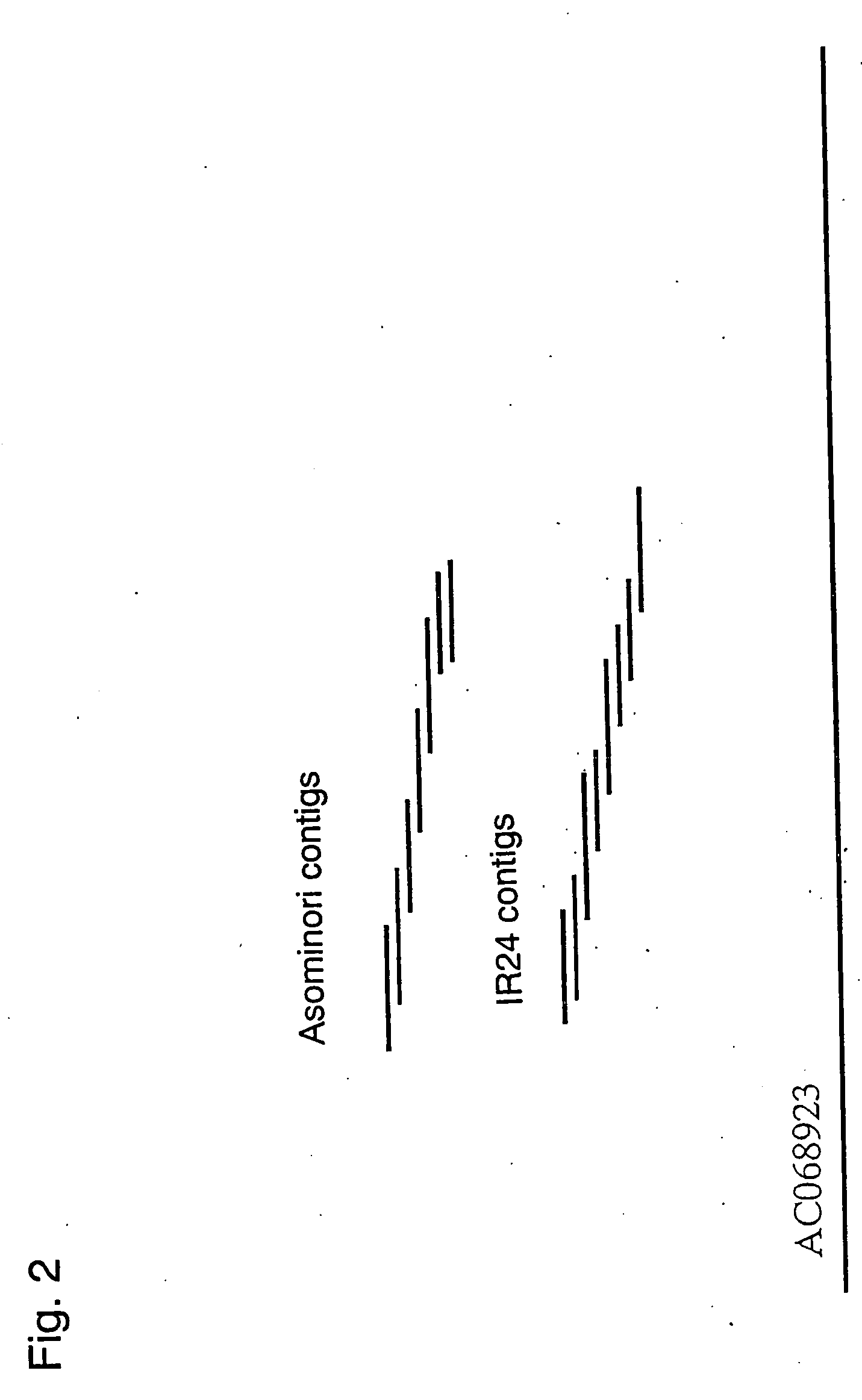 Method of imparting or controlling fertility with the use of fertility restoring gene for rice bt-male sterility cytoplasm and method of judging the existence of fertility restoring gene