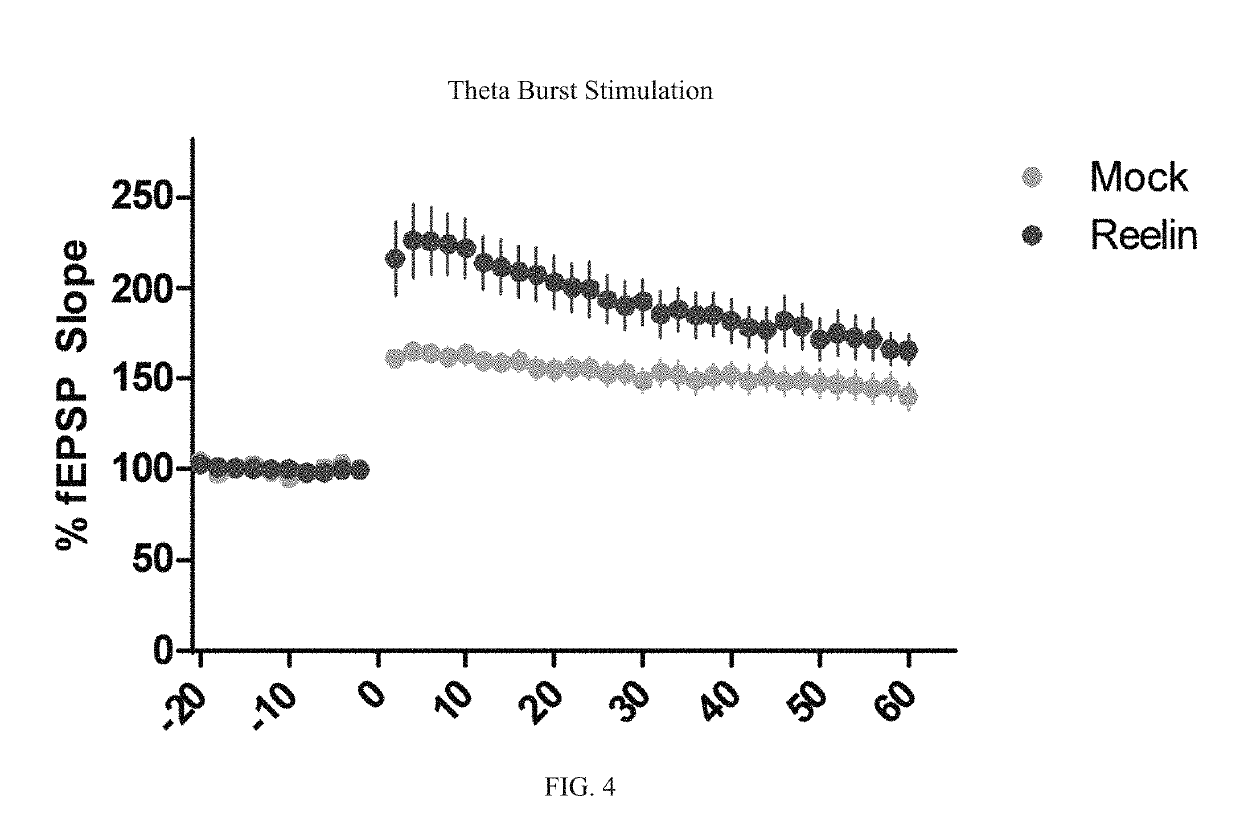 Reelin compositions for treatment of neurological disorders