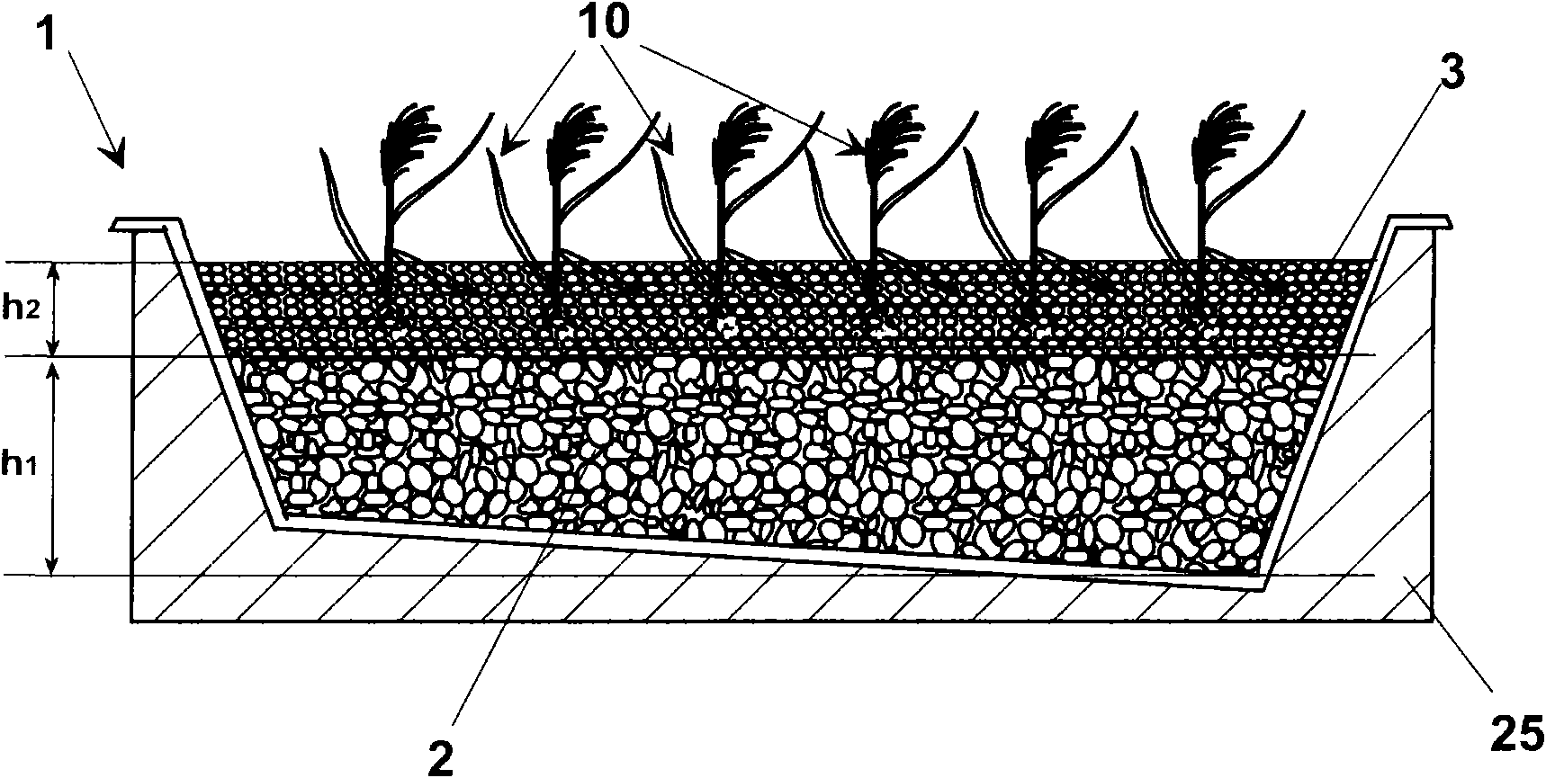 Process for biostabilization and humification of biological sludge in planted filtering beds