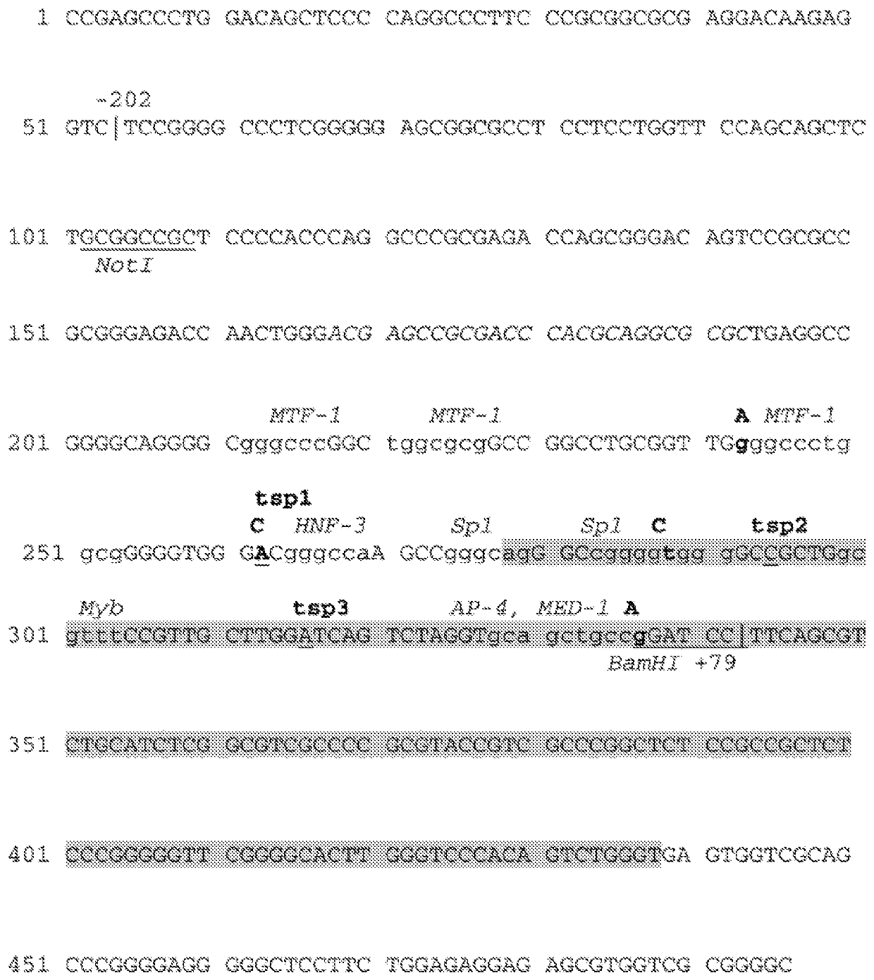Carrier status of annexin A5 M2 haplotype and obstetric risks