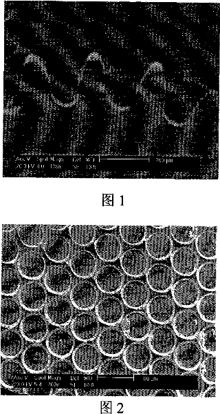 Silicon-oxygen-carbon ceramic products and preparing method thereof