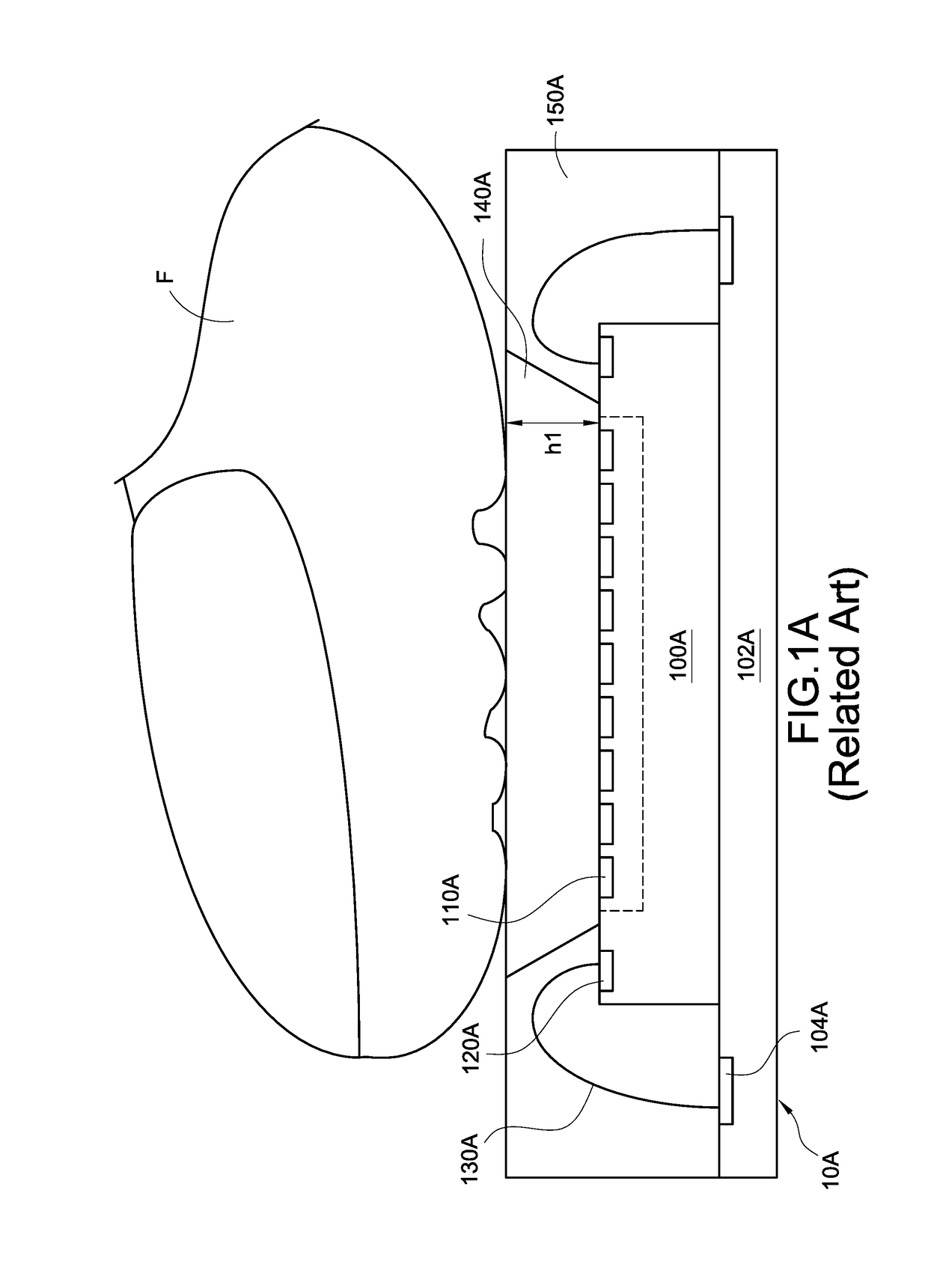 Fingerprint recognition apparatus