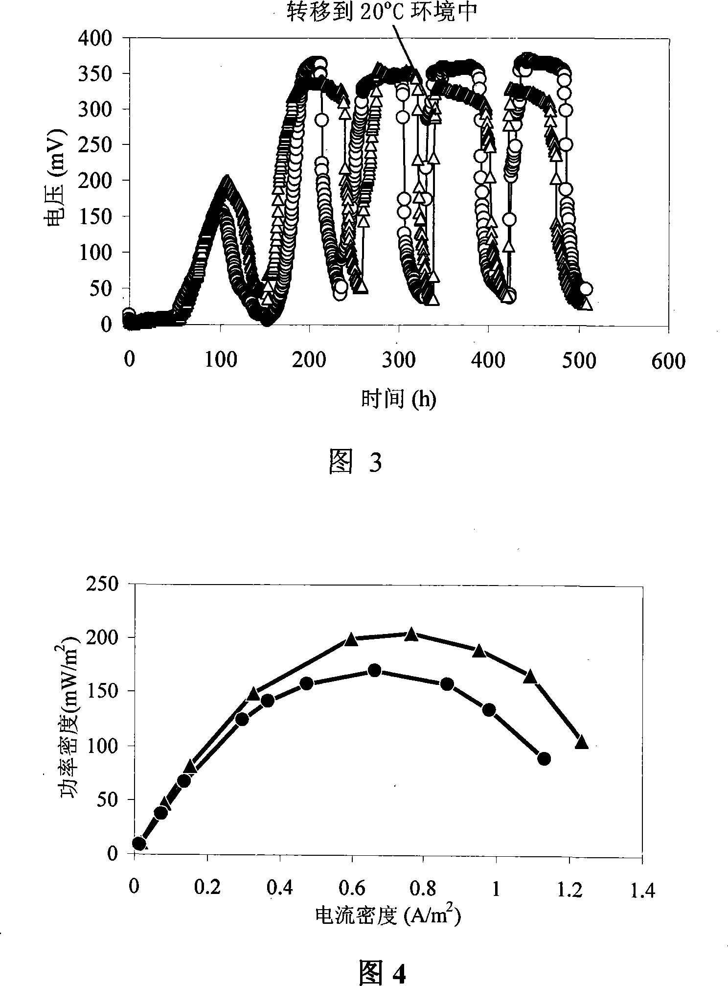 Animalcule fuel battery and its method for processing beer waste water