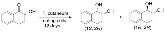 A method for efficiently synthesizing (1r,2s)-1,2-dihydronaphthalene derivatives