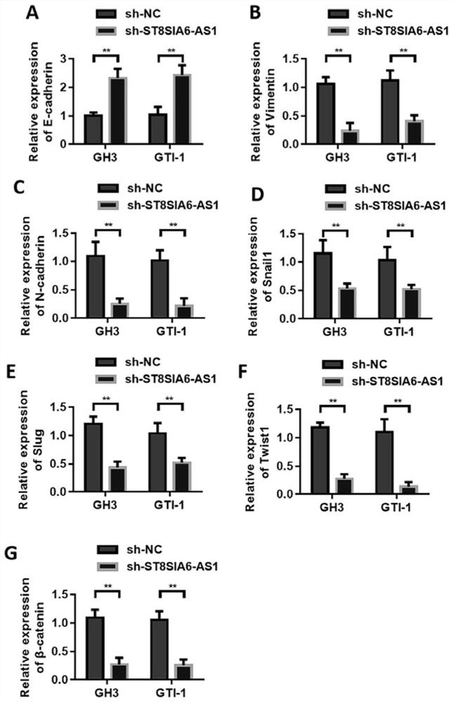 Application of long-chain non-coding RNA ST8SIA6-AS1 as pituitary tumor molecular marker