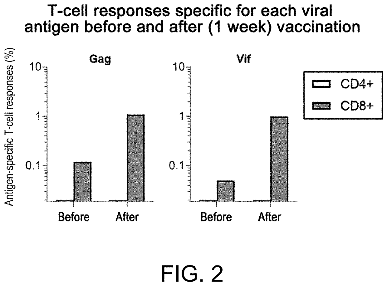 Selective cd8-positive t cell-inducing vaccine antigen