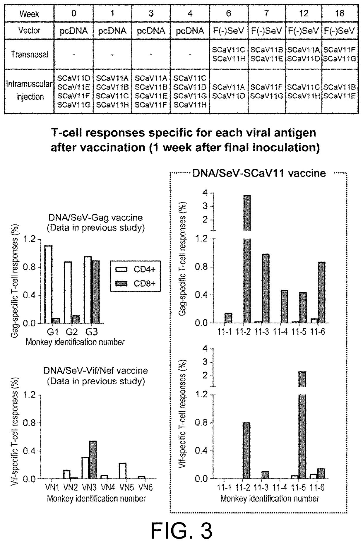 Selective cd8-positive t cell-inducing vaccine antigen