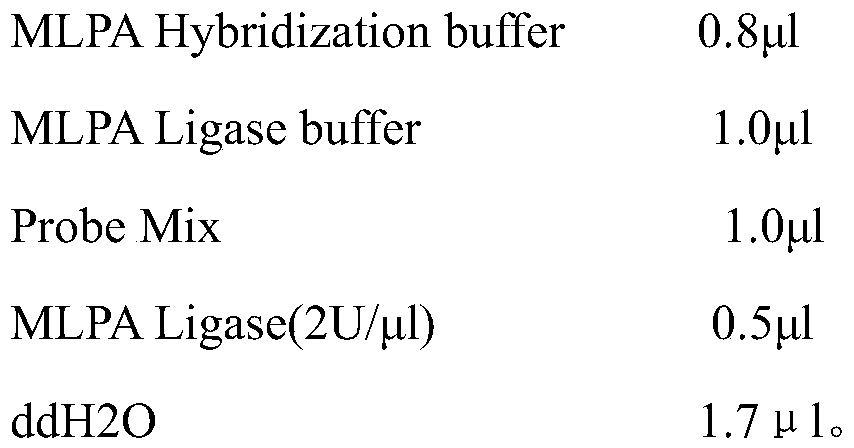 Primer combination for detecting microdeletion or/and microduplication of recurrent abortion, MLPA probe, gene chip and kit