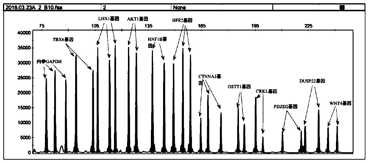 Primer combination for detecting microdeletion or/and microduplication of recurrent abortion, MLPA probe, gene chip and kit