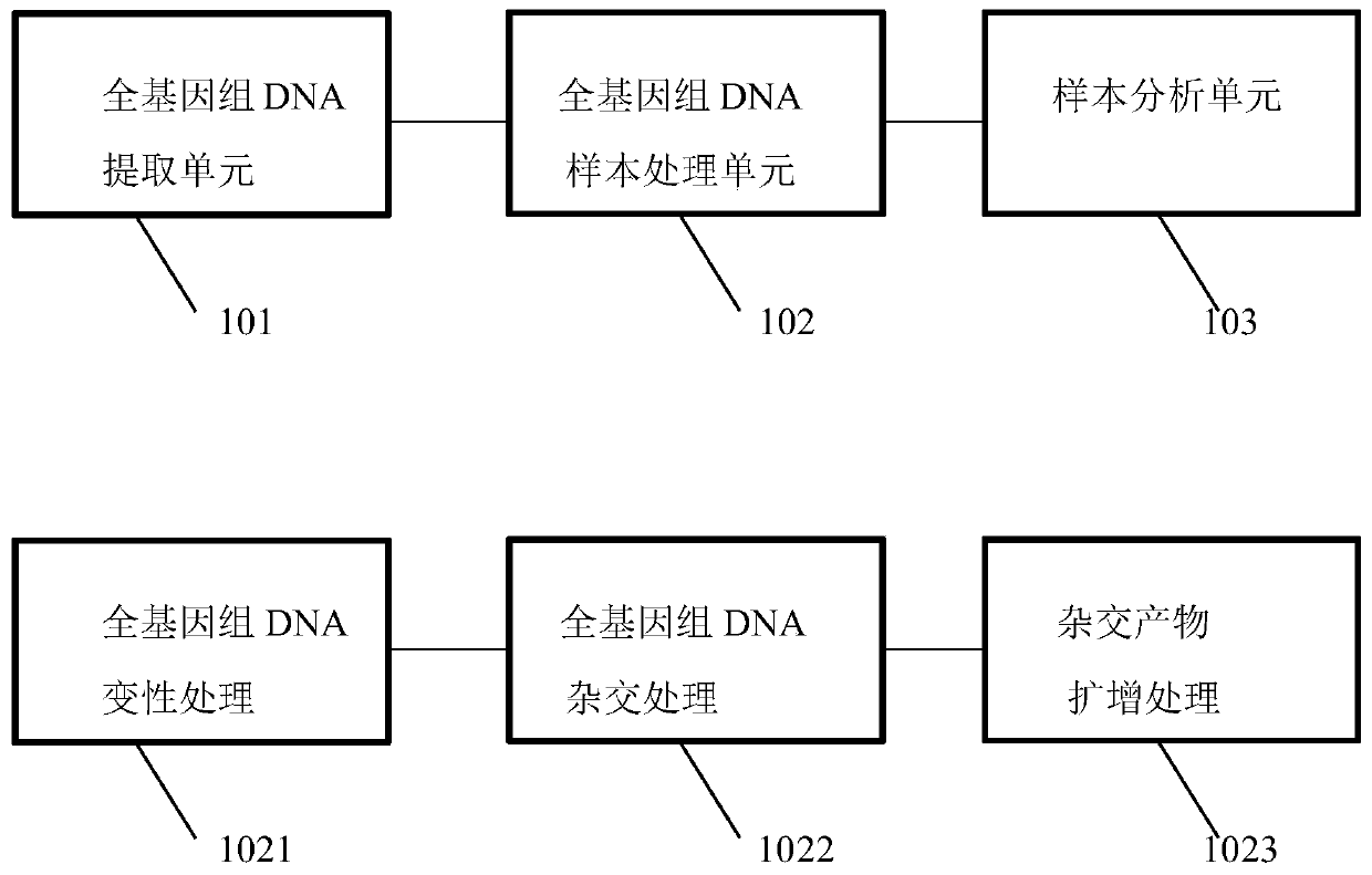 Primer combination for detecting microdeletion or/and microduplication of recurrent abortion, MLPA probe, gene chip and kit