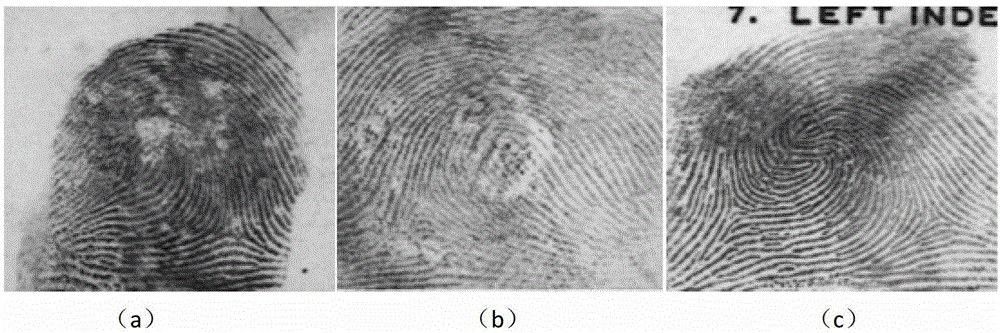 Method for Extracting Orientation Field of Markov Random Field Fingerprint Based on Prior Knowledge