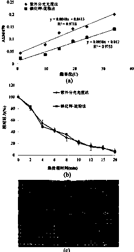 Lipoxygenase mutant with simultaneously-improved enzymatic activity and thermal stability, and preparation method thereof