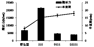 Lipoxygenase mutant with simultaneously-improved enzymatic activity and thermal stability, and preparation method thereof