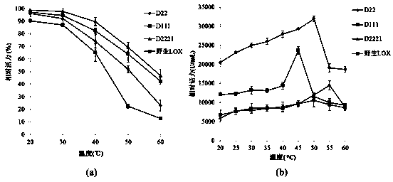 Lipoxygenase mutant with simultaneously-improved enzymatic activity and thermal stability, and preparation method thereof