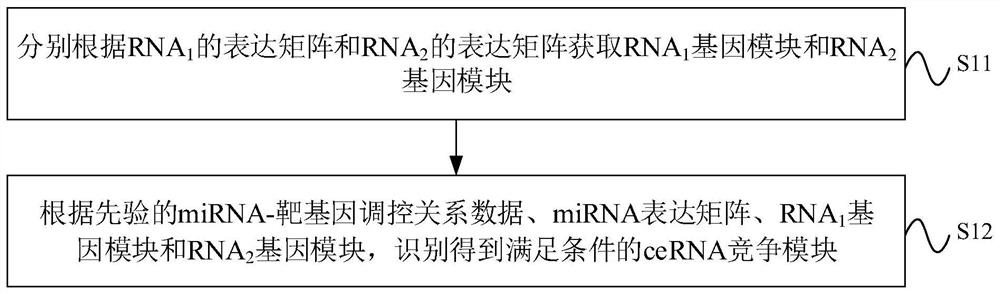 cerna competition module identification method, device, electronic equipment and storage medium