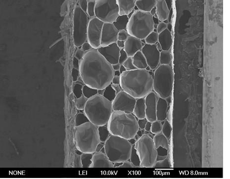 A kind of polyolefin resin foam sheet and its manufacturing method