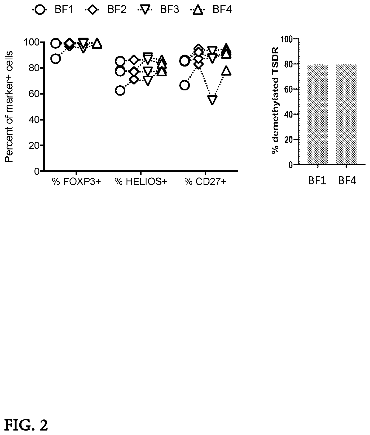 Bead-free ex-vivo expansion of human regulatory t cells