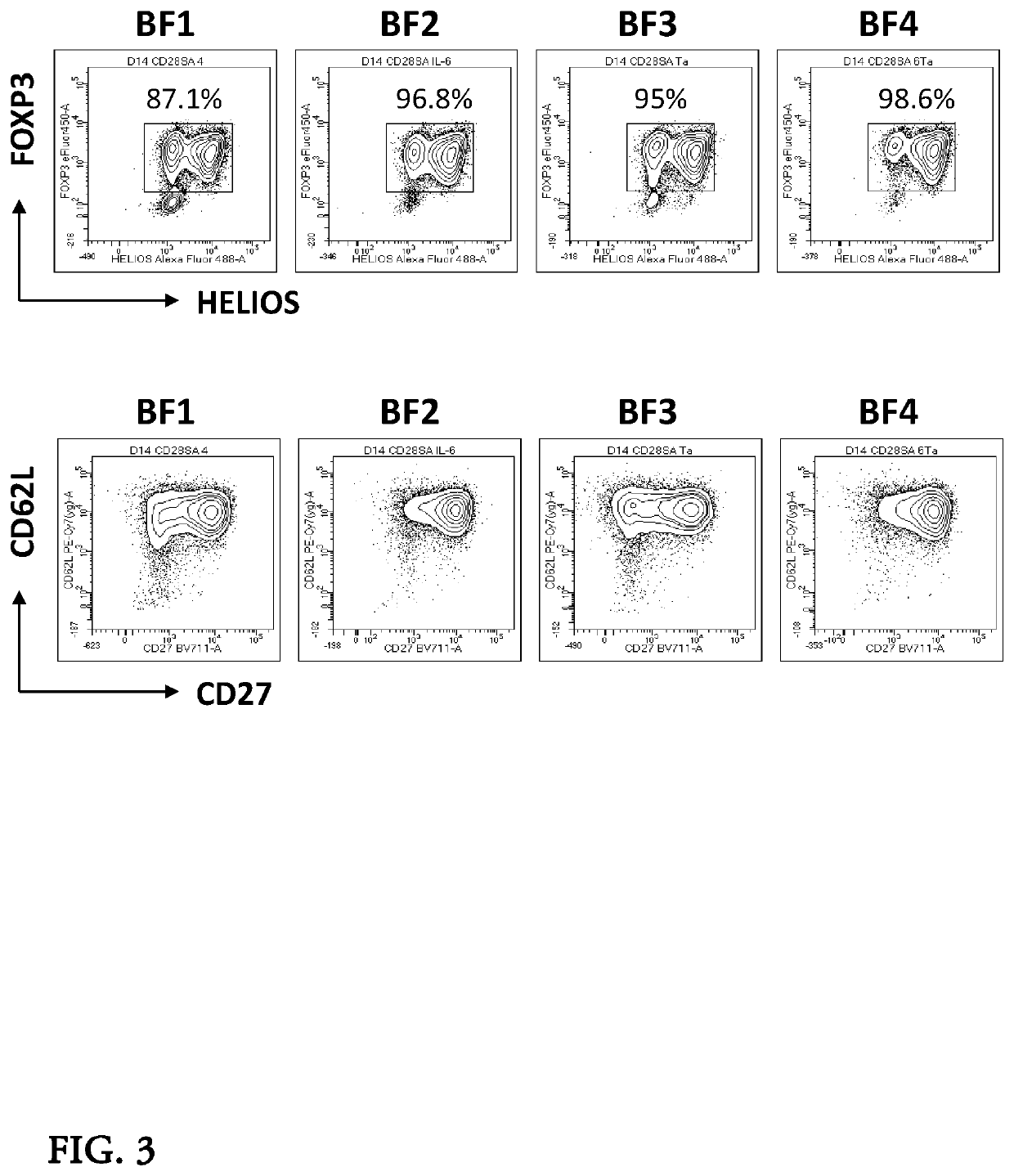 Bead-free ex-vivo expansion of human regulatory t cells