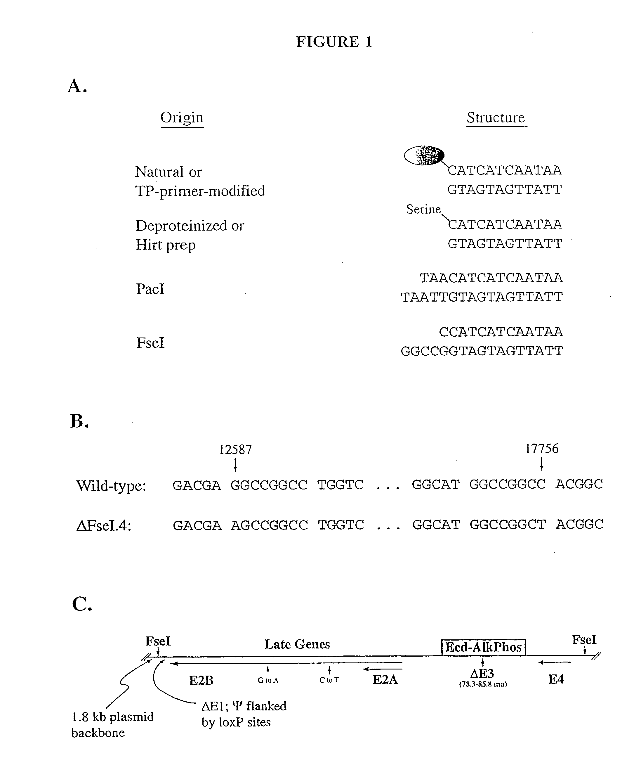 Production Of Viral Vectors