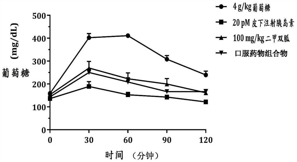 Application of ophioglossum and semen plantaginis composition to preparation of pharmaceutical composition for lowering blood sugar and blood pressure