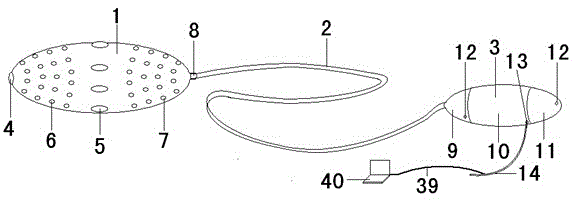 In vivo experimental rat germ cell delivery device in the reproductive tract