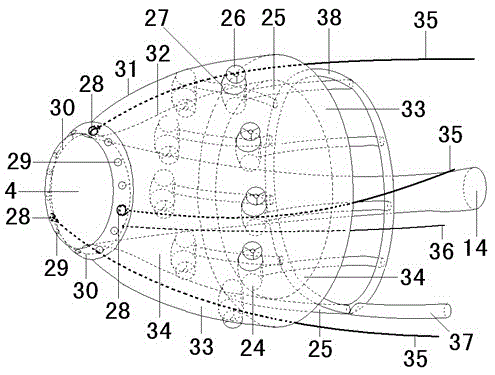 In vivo experimental rat germ cell delivery device in the reproductive tract