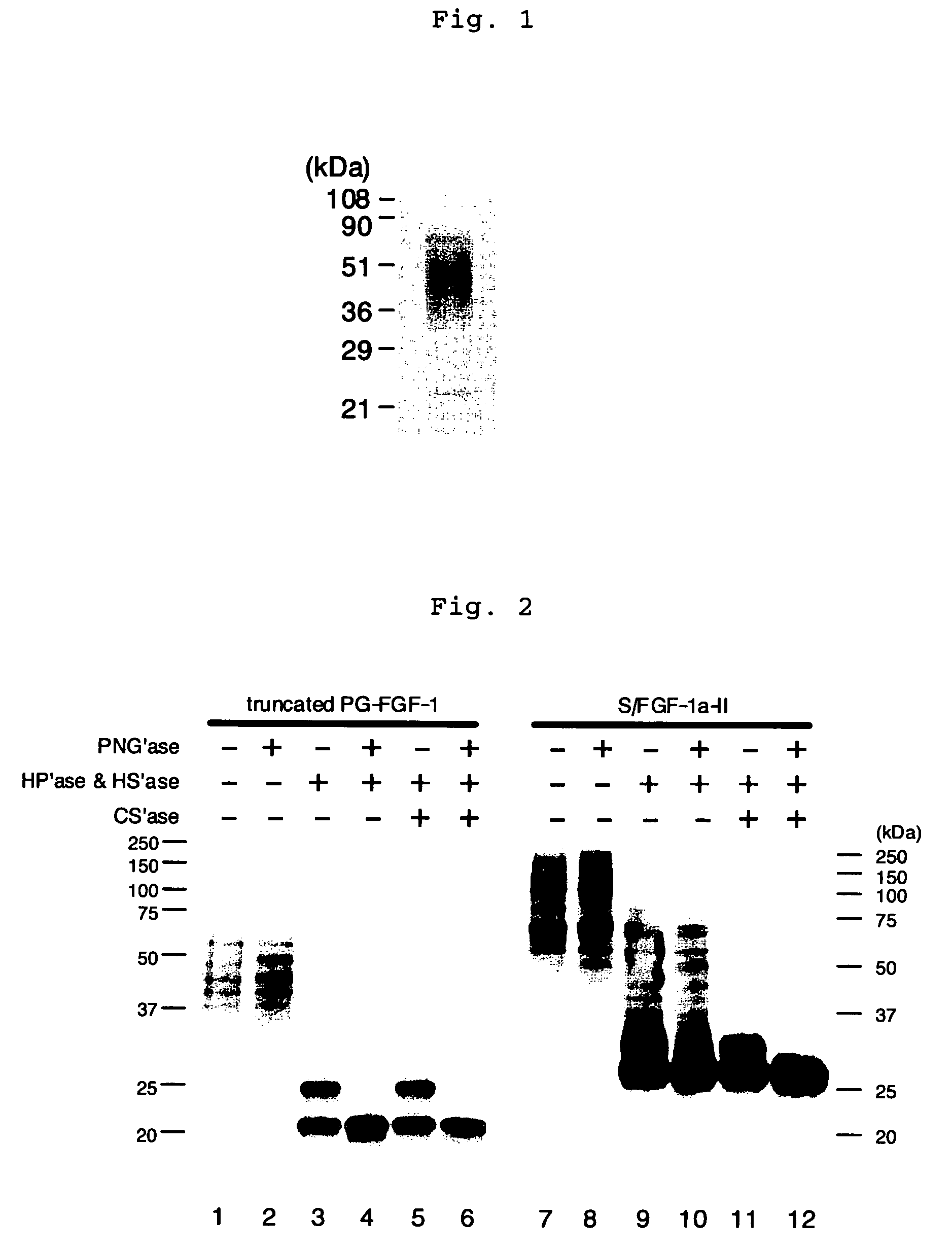 Heparin-binding protein modified with heparan sulfate sugar chains, process for producing the same and pharmaceutical compositions containing the same