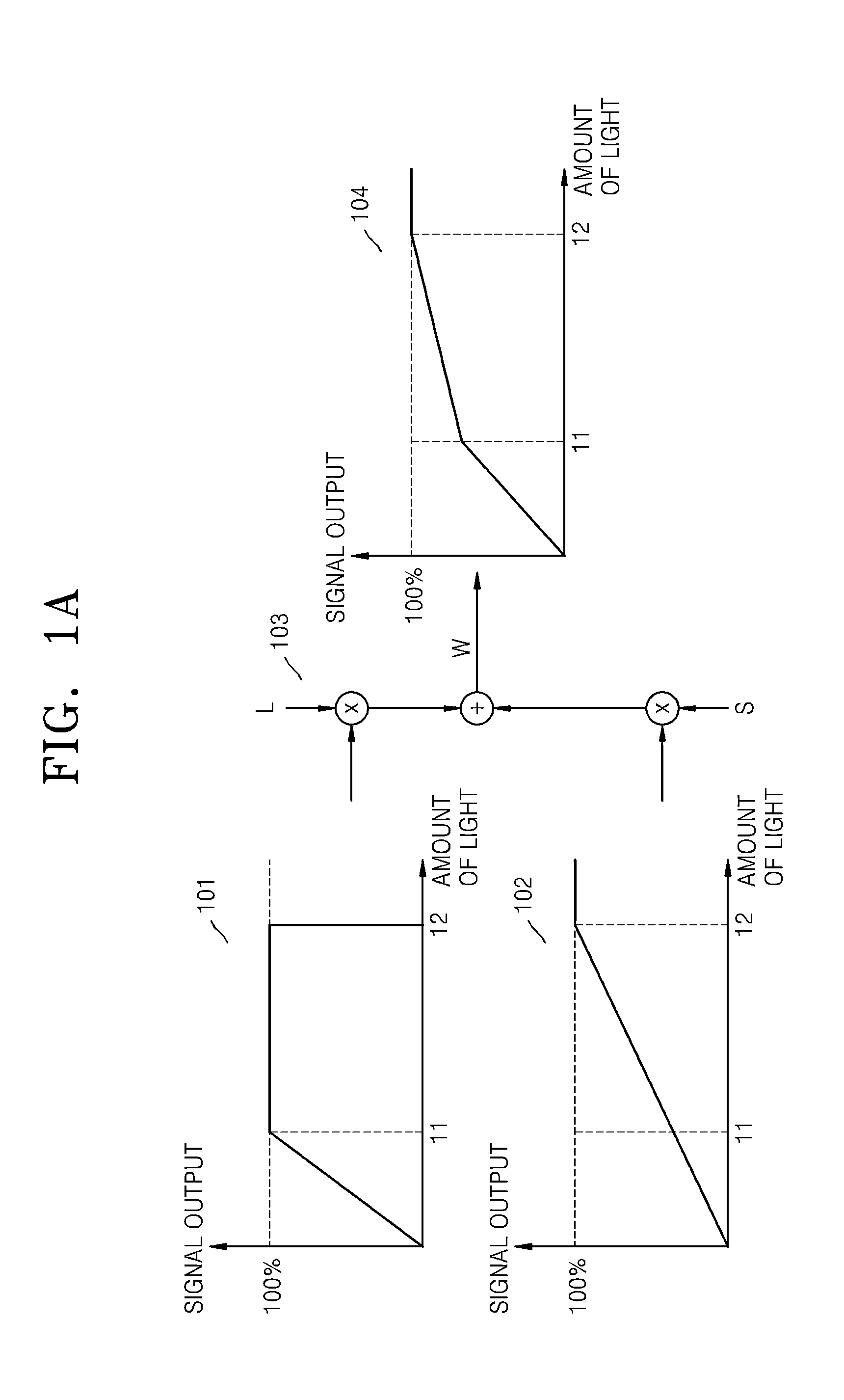 Apparatus and method for processing image