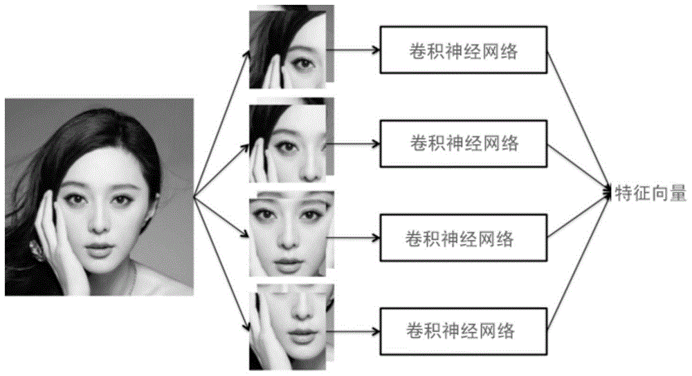 Face identification method in video and face identification device in video