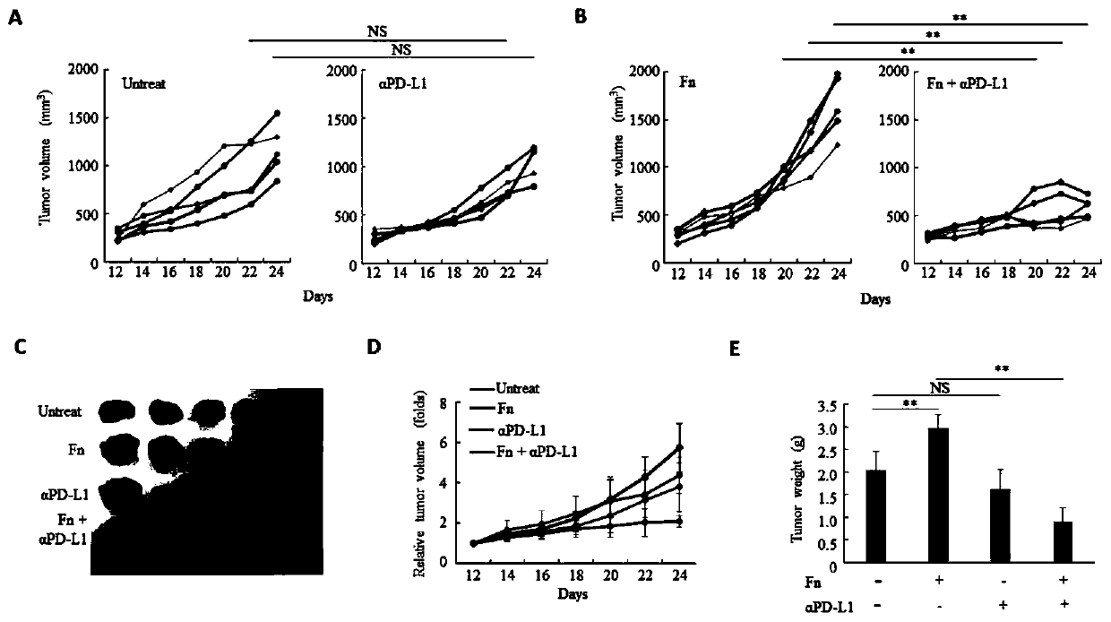Fusobacterium nucleatum as marker to predict curative effect of PD-L1 antibody therapy of colorectal cancer and application of maker